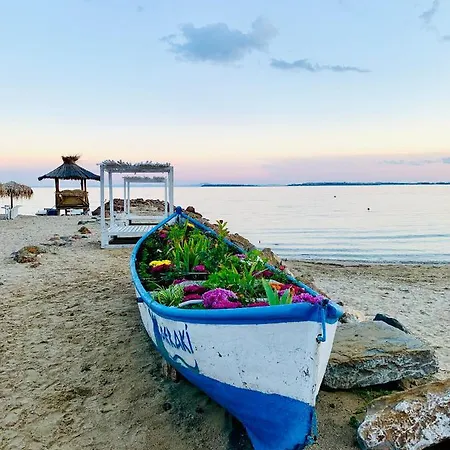 Calabria * سفيتي فلاس